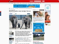 Bild zum Artikel: Zoos schlagen Alarm - Besucher greifen immer häufiger Tiere an