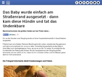 Bild zum Artikel: Das Baby wurde einfach am Straßenrand ausgesetzt - dann kam diese Hündin und tat das Undenkbare