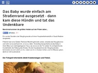 Bild zum Artikel: Das Baby wurde einfach am Straßenrand ausgesetzt - dann kam diese Hündin und tat das Undenkbare