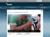 Bild zum Artikel: Dindim - der treueste Pinguin der Welt