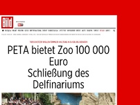 Bild zum Artikel: Wenn Delfine verschwinden - PETA bietet Zoo 100 000 Euro