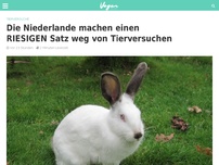 Bild zum Artikel: Die Niederlande machen einen RIESIGEN Satz weg von Tierversuchen