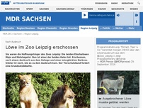 Bild zum Artikel: Löwen im Zoo Leipzig ausgebrochen