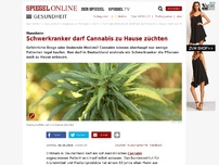 Bild zum Artikel: Mannheim: Schwerkranker darf Cannabis zu Hause züchten