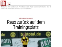 Bild zum Artikel: Arbeit am Comeback - BVB-Star Reus zurück auf dem Trainingsplatz