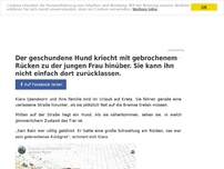 Bild zum Artikel: Der geschundene Hund kriecht mit gebrochenem Rücken zu der jungen Frau hinüber. Sie kann ihn nicht einfach dort zurücklassen.