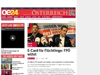 Bild zum Artikel: E-Card für Flüchtlinge: FPÖ wütet