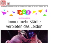 Bild zum Artikel: Wildtiere im Zirkus - Immer mehr Städte verbieten das Leiden