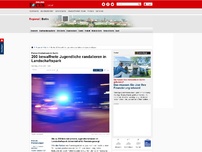 Bild zum Artikel: Polizei-Großeinsatz in Berlin - 200 bewaffnete Jugendliche randalieren in Landschaftspark