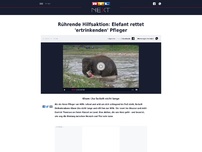 Bild zum Artikel: Rührende Hilfsaktion: Elefant rettet 'ertrinkenden' Pfleger