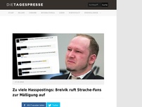 Bild zum Artikel: Zu viele Hasspostings: Breivik ruft Strache-Fans zur Mäßigung auf