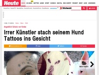 Bild zum Artikel: Angeblich Schutz vor Krebs: Irrer Künstler stach seinem Hund Tattoos ins Gesicht