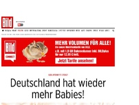 Bild zum Artikel: Geburtenrate steigt - Deutschland hat wieder mehr Babies!
