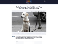 Bild zum Artikel: Aschaffenburg: Hund stirbt, weil Frau ihn vom Auto aus Gassi führt