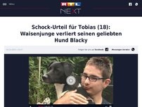 Bild zum Artikel: Schock-Urteil für Tobias (18): Waisenjunge verliert seinen geliebten Hund Blacky