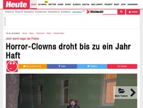 Bild zum Artikel: Jetzt warnt sogar die Polizei: Horror-Clowns droht bis zu ein Jahr Haft