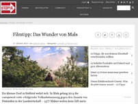 Bild zum Artikel: Filmtipp: Das Wunder von Mals