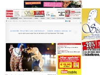 Bild zum Artikel: Hund schlägt Grusel-Clown in Kärnten in die Flucht