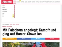 Bild zum Artikel: Maskierter flüchtere: Rottweiler ging auf Horror-Clown los