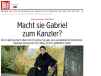Bild zum Artikel: Sahra Wagenknecht - Macht sie Gabriel zum Kanzler?