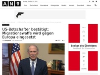 Bild zum Artikel: US-Botschafter bestätigt: Migrationswaffe wird gegen Europa eingesetzt