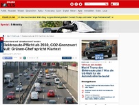 Bild zum Artikel: Deutschland soll 'dekarbonisiert' werden - Elektroauto-Pflicht ab 2030, CO2-Grenzwert Null: Grünen-Chef spricht Klartext