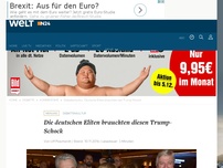 Bild zum Artikel: Debattenkultur: Die deutschen Eliten brauchten diesen Trump-Schock