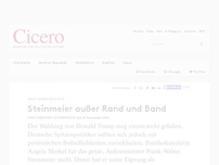 Bild zum Artikel: Nach Trumps Wahlsieg - Steinmeier außer Rand und Band