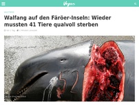 Bild zum Artikel: Walfang auf den Färöer-Inseln: Wieder mussten 41 Tiere qualvoll sterben