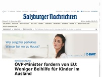 Bild zum Artikel: ÖVP-Minister fordern von EU: Weniger Beihilfe für Kinder im Ausland