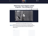 Bild zum Artikel: Widerlicher Fund: Nagetier in Kleid eingenäht - Frau verklagt Zara