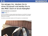 Bild zum Artikel: Sie würgen ihn, stecken ihn in einen Rucksack und werfen ihn in den Müll. Doch er ist ein Kämpfer!