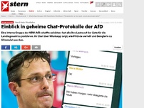 Bild zum Artikel: Nordrhein-Westfalen: Interne AfD-Gruppe: 'Demokratie ist nur gut, wenn sie einem nützt'