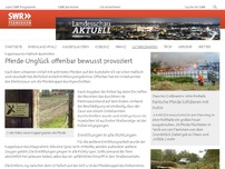 Bild zum Artikel: A65 zwischen Haßloch und Neustadt: Acht Pferde auf der Autobahn getötet