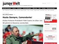 Bild zum Artikel: Hasta Siempre, Comandante!