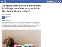 Bild zum Artikel: Die stolze Dackel-Mama präsentiert ihre Babys - und das Internet ist bis über beide Ohren verliebt.