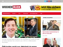 Bild zum Artikel: ÖVP-Insider packt jetzt aus: Mehrheit ist gegen VdB!