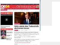 Bild zum Artikel: Hofer würde über Todesstrafe abstimmen lassen