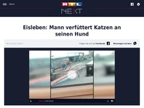 Bild zum Artikel: Eisleben: Mann verfüttert Katzen an seinen Hund