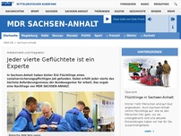 Bild zum Artikel: Integration von Flüchtlingen: Jeder vierte Geflüchtete ist ein Experte