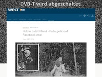 Bild zum Artikel: Brandenburg: Polizei blitzt Pferd - Foto geht auf Facebook viral
