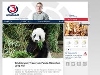 Bild zum Artikel: Schönbrunn: Trauer um Panda-Männchen Long Hui