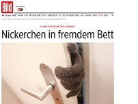 Bild zum Artikel: Wohnung verwechselt - Nickerchen in fremdem Bett