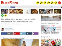 Bild zum Artikel: Nur echte Hundemenschen schaffen mindestens 15/20 in diesem Quiz