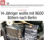 Bild zum Artikel: Mit heißer Ware im Taxi - 14-Jähriger schmuggelt 114 Kilo Polenböller!