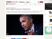 Bild zum Artikel: Neue Meeresschutzgebiete: Obama ärgert Trump beim Umweltschutz