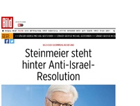 Bild zum Artikel: Sicherheitsrat-Abstimmung - Steinmeier findet UN-Resolution gegen Israel richtig