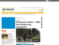 Bild zum Artikel: Geldern - Gehäutete Hündin - 2000 Euro Belohnung ausgesetzt