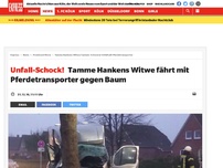 Bild zum Artikel: Unfall-Schock!: Tamme Hankens Witwe fährt mit Pferdetransporter gegen Baum