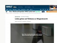 Bild zum Artikel: Attacken auf Merkel: Linke gehen auf Distanz zu Wagenknecht